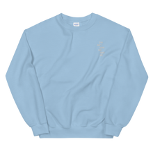 Load image into Gallery viewer, YOU DON&#39;T KNOW EMBROIDERED SWEATER